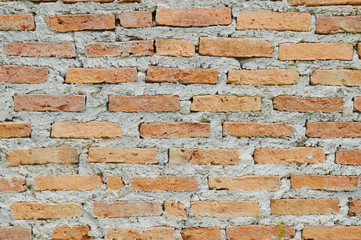 Fototapeta premium red brick wall merged by cement background and texture