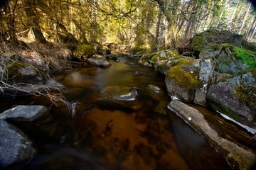 Naklejka na ściany i meble A stream just outside Havsjöleden natural reserve in Bredaryd – Sweden