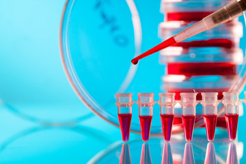 Pipette and Pcr strip