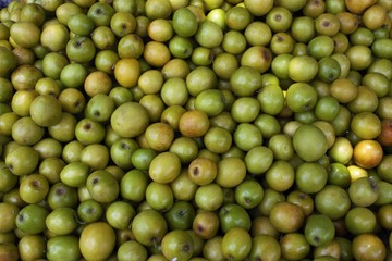 monkey apple, jujube