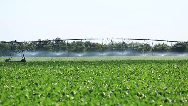 System sprinkler irrigation for agriculture