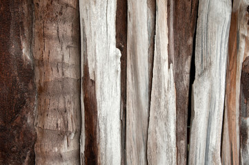 Abstract old texture wood wall. Bark rough plank table pattern with rough texture background. Tree bark texture table. Vintage and retro. Close up.