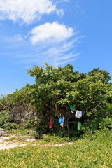 Blue sky , a rock and tree with beach goods in Hateruma island, Okinawa(波照間島)