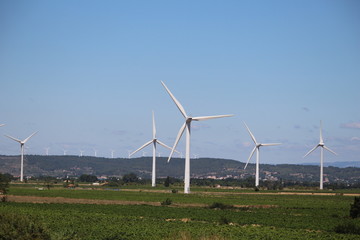 énergies renouvelables par le vent éoliennes