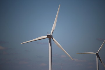 Fototapeta premium éolienne économie d'énergie