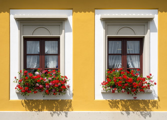 Beautiful red flowers in closed windows