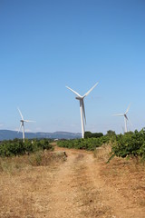 &eacute;olienne