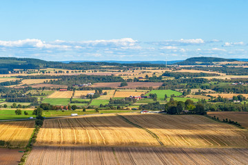 Fototapeta na wymiar View of rural landscape in summer