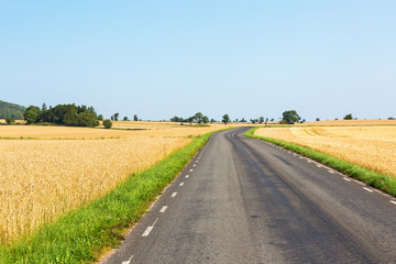 Fototapeta na wymiar Country road through rural landscapes and ripe cornfield
