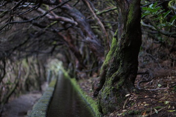 Madère, Portugal - canal d'irrigation