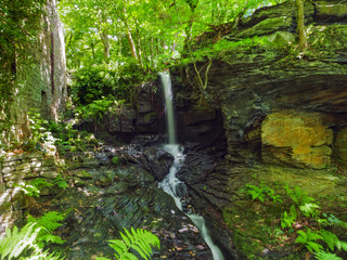 In a woodland clearing, at the side of a long derelict watermill, Bentley Brook tumbles down high...