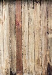 Fototapeta premium Wood texture.