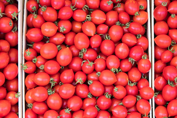 Tomatoes at market