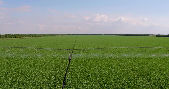 industrial watering system for agricultural fields, aerial shot