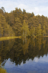 Landscape lake and forest