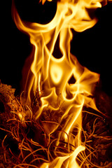 Nature Fire flames at dark night. Freeze motion of Red-Yellow fire flames burning.Burning camp fire with hot flames.