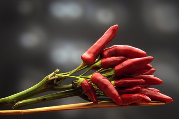 Capsicum Pimiento فليفلة Cerasiello Chile Πιπεριά Pipiruni Տաքդեղ Biezzu...