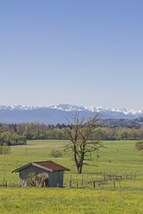 Fototapeta premium Blick auf die Bayrischen Voralpen mit Benediktenwand und dem Herzogstand, dahinter türmt sich das mächtige Karwendelgebirge auf