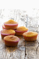 Sweet donuts with icing sugar