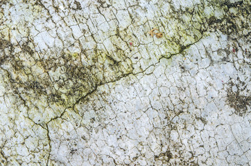 Dirty cement wall texture background