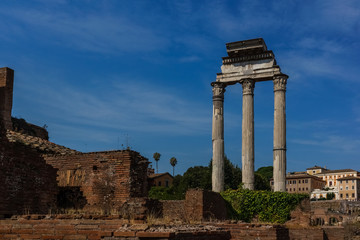 Fototapeta premium Ruins of Forum Romanum in Rome, Italy