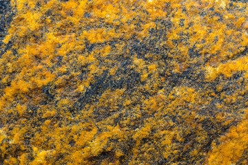 Heterogeneous texture of natural stone orange.