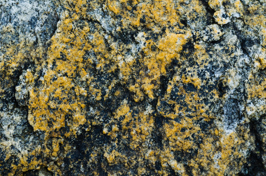 Heterogeneous texture of natural stone orange and gray .