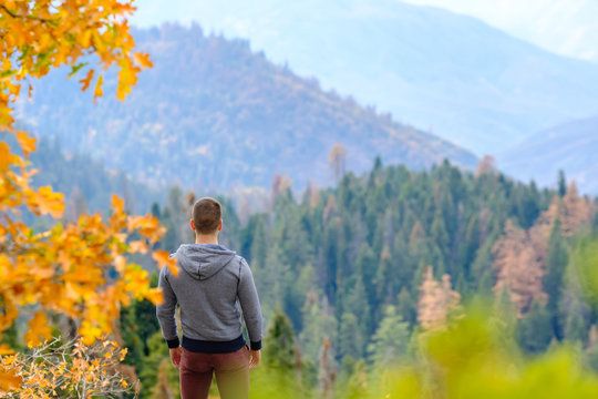 Tourist Hiking In Sequoia National Park At Autumn