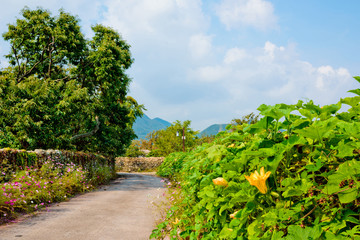Fototapeta na wymiar Rural scenery of Asan City Oeam Folk Village in South Korea.