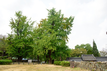 Asan, South Korea -  Maengssi Haengdan House in Asan City, Chungcheongnam-do.