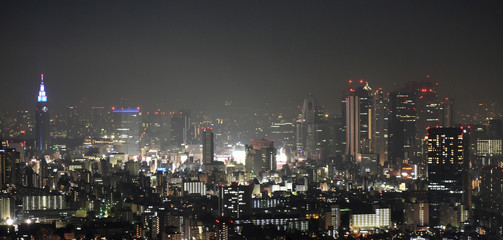 Fototapeta na wymiar 日本の東京都市景観・夜景(新宿の高層ビル群などを望む）