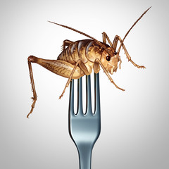 Eating Insects © freshidea