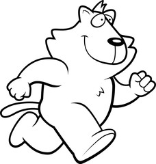 Cat Running