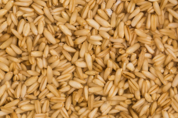 Wheat, barley and oat