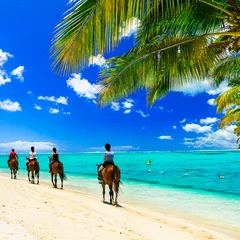 Crédence de cuisine en verre imprimé Plage tropicale Équitation sur la plage tropicale. Ile Maurice