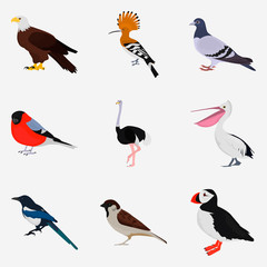 Set of different birds color flat icon for web and mobile design