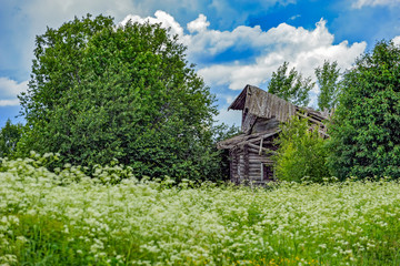 Fototapeta premium Abandoned old russian village with traditional wooden house. Vologda region, Russia