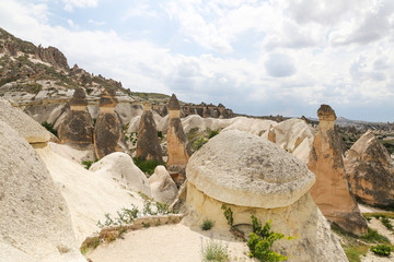 Rock Formations in Pasabag Monks Valley, Cappadocia