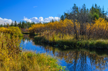 Autumn landscape with a small forest tranquil river. The water reflects the bushes. ZHemchuzhnaya river, Apatity, Murmansk region, Kola Peninsula, Russia.