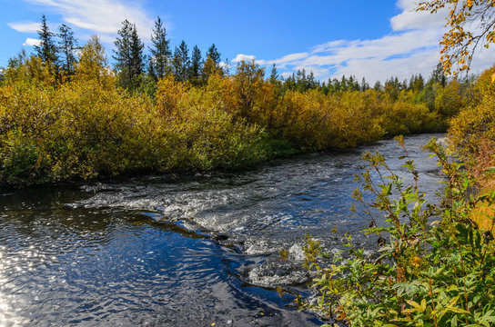 View fast little forest stream in autumn. Sunny day. ZHemchuzhnaya river, Apatity, Murmansk region, Kola Peninsula, Russia.