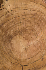 Holzfläche und Holzstruktur als Hintergrund