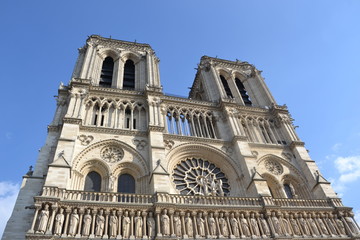 Fototapeta na wymiar Cathédrale de Paris 3