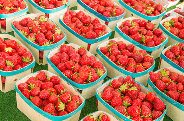 Fresh organic, ripe berries on the village market