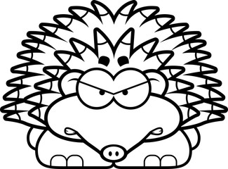 Angry Little Hedgehog