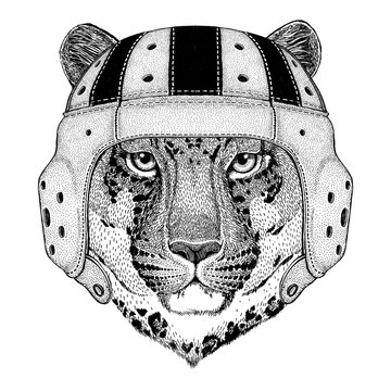 Wild cat Leopard Cat-o'-mountain Panther Wild animal wearing rugby helmet Sport illustration