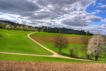 Land und Flur im Frühling