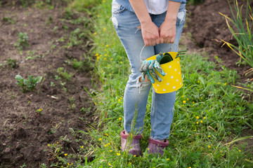 Closeup of woman's hands in gardening gloves holding metal bucket with garden tools: spade and rake. Working in the garden planting. Lifestyle.