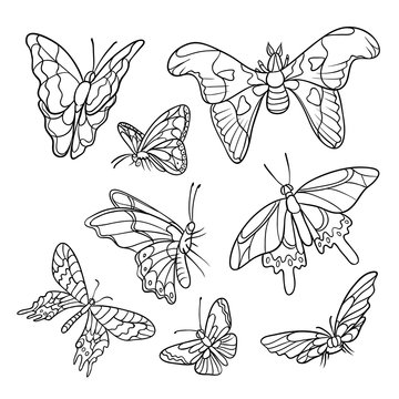 Vector black and white doodle set of hand-drawn. Different tropical butterflies flying and sitting. Outline drawing sketch kit drawn in ink isolated on white background.