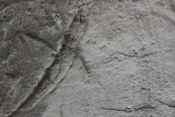 Gray texture of cement for designer