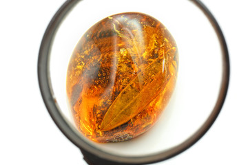 Amber with inclusions under the magnifying glass on a white background. Macro photography of a unique piece of fossilized resin with fossil remains of trees and insects .Amber with a leaf  inside.